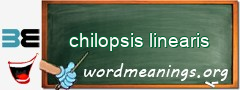 WordMeaning blackboard for chilopsis linearis